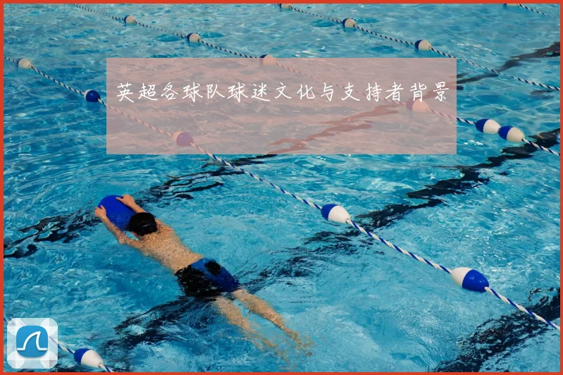 英超各球队球迷文化与支持者背景